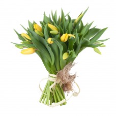 Kytica tulipán